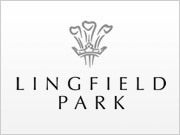 Lingfield Park is one of the most picturesque racecourses in the UK nestled within 450 acres of rolling Surrey countryside and has been described as 'racing's most elegant course'.